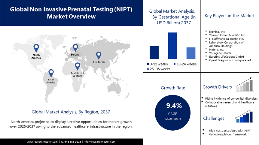 Non Invasive Prenatal Testing Market Overview